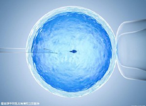 中医妇科